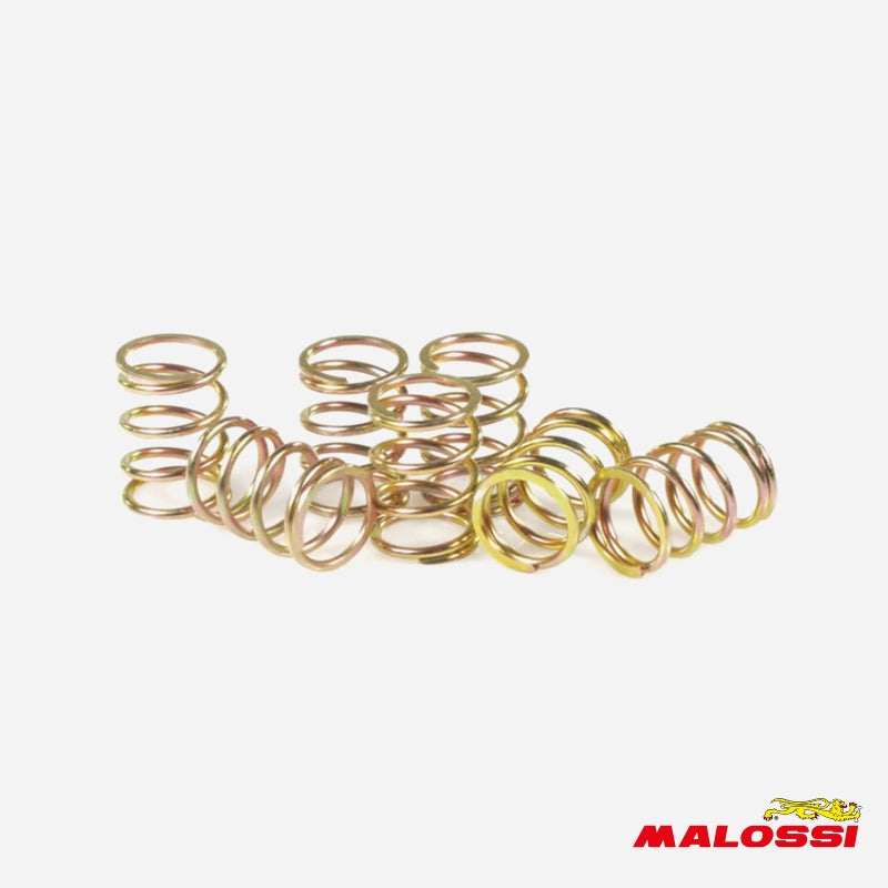 Malossi Vespa Clutch Spring Set