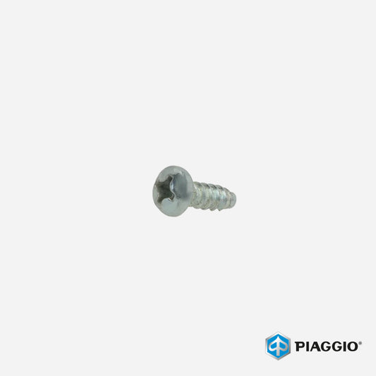 Piaggio Vespa PX PE Rear Hub Back Plate / Dust Cover Screw